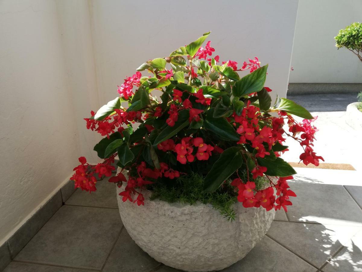 Apartman Katica Banjol Luaran gambar